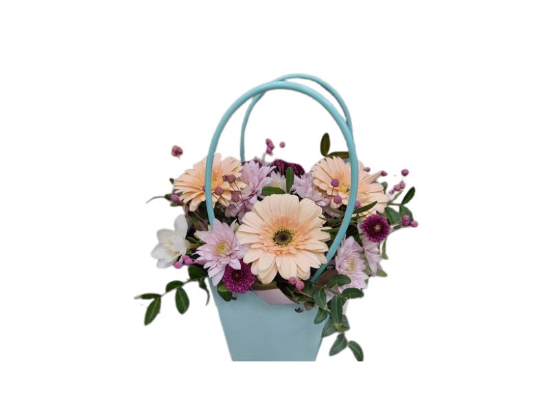 Peach Blossom Harmony