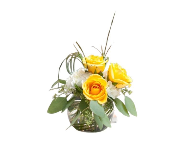 White & Yellow Dream