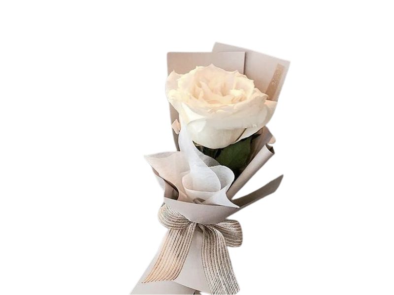 Single White Rose