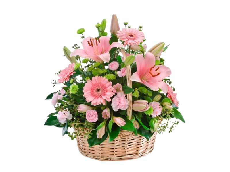 Rose and Pink Delight