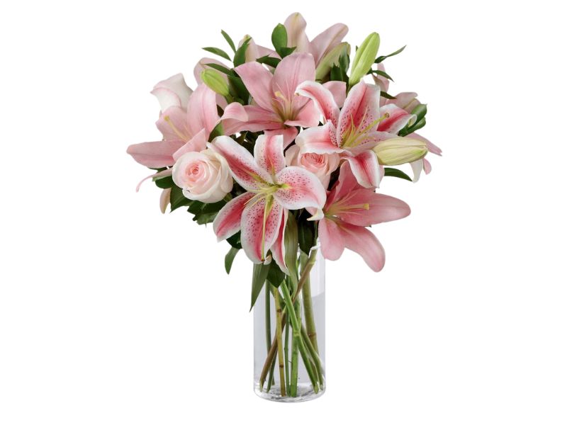 Dreamy Roses & Lilies